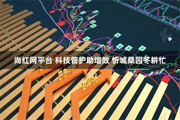 尚红网平台 科技管护助增效 忻城桑园冬耕忙
