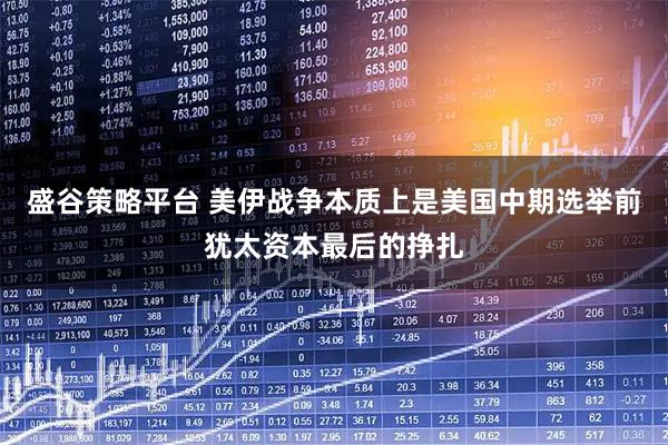 盛谷策略平台 美伊战争本质上是美国中期选举前犹太资本最后的挣扎